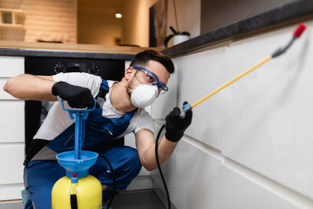 Best Termite Control Services  in Braham, MN