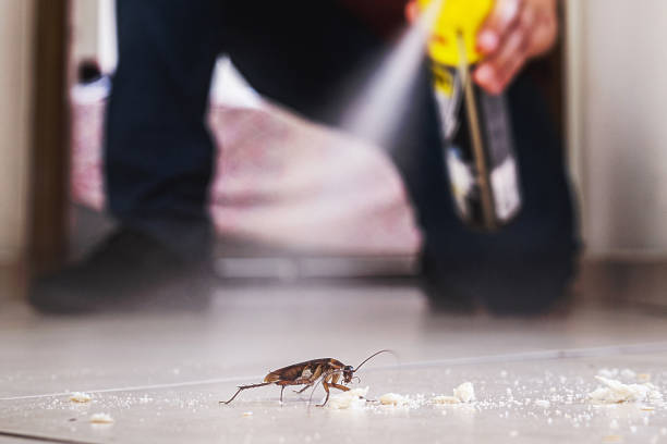 Best Pest Control Treatment  in Braham, MN