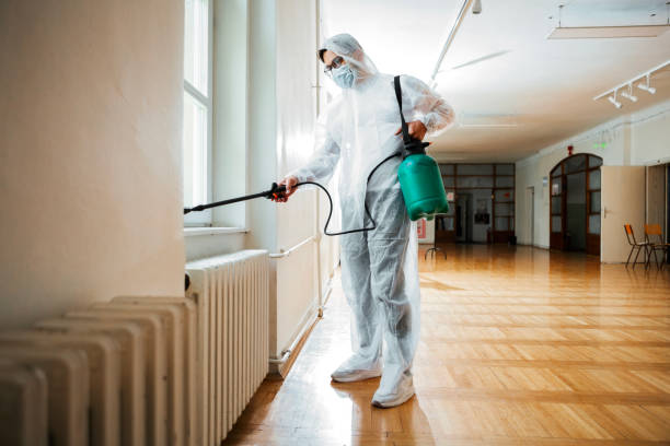 Best Rat Extermination Near Me  in Braham, MN